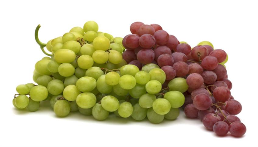 Si avvicinano i mesi della vendemmia Si avvicinano i mesi della vendemmia